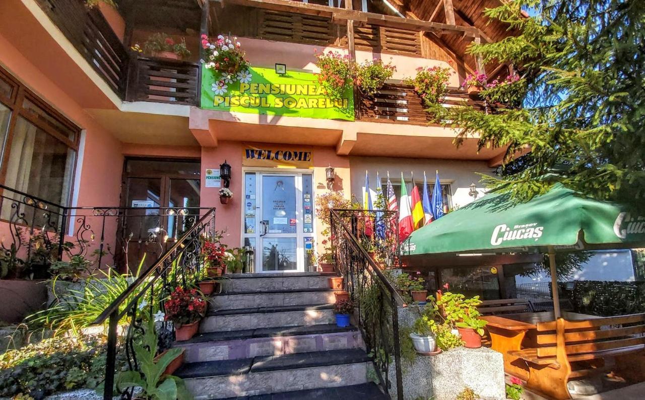Pensiunea Agroturistica Piscul Soarelui Campulung Dış mekan fotoğraf