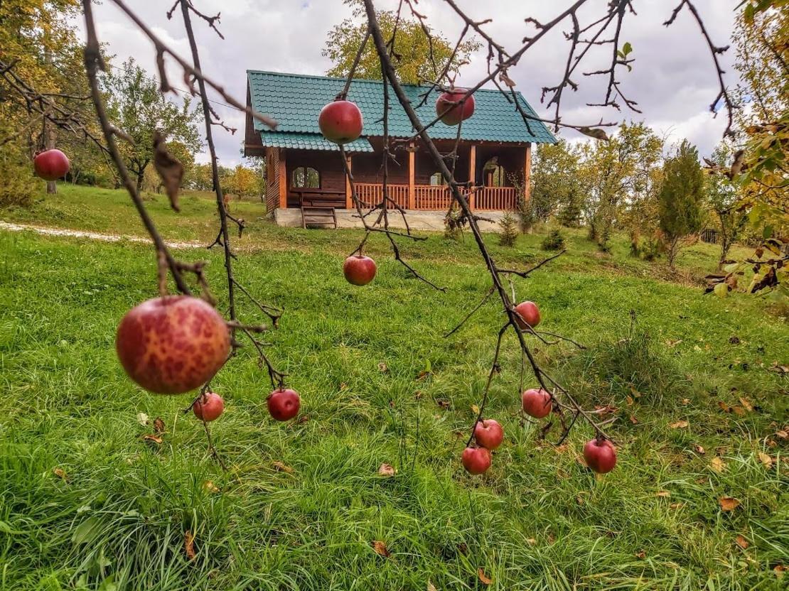 Pensiunea Agroturistica Piscul Soarelui Campulung Dış mekan fotoğraf