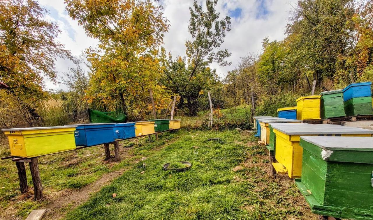 Pensiunea Agroturistica Piscul Soarelui Campulung Dış mekan fotoğraf
