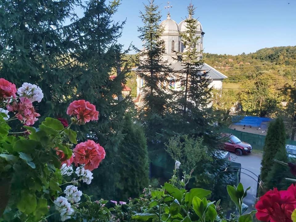 Pensiunea Agroturistica Piscul Soarelui Campulung Dış mekan fotoğraf