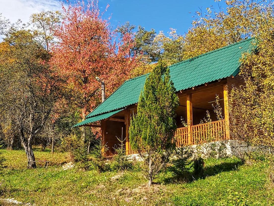 Pensiunea Agroturistica Piscul Soarelui Campulung Dış mekan fotoğraf