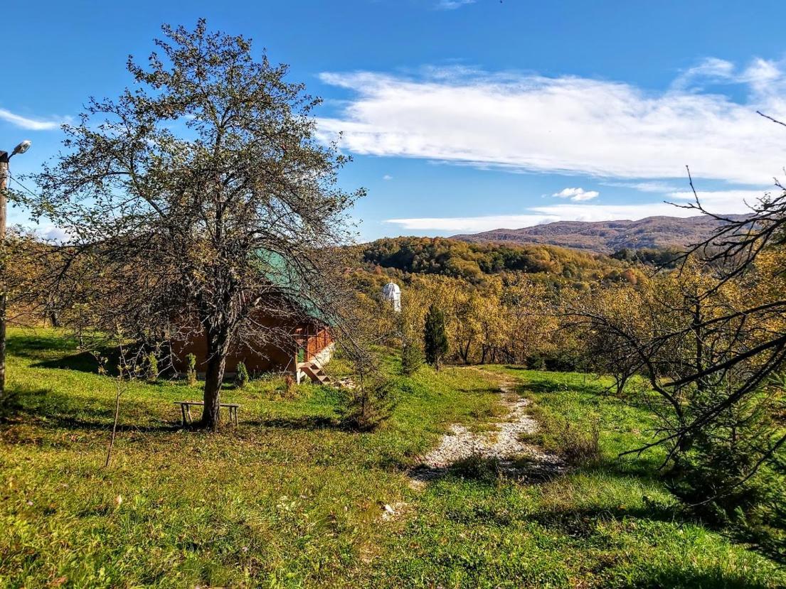 Pensiunea Agroturistica Piscul Soarelui Campulung Dış mekan fotoğraf